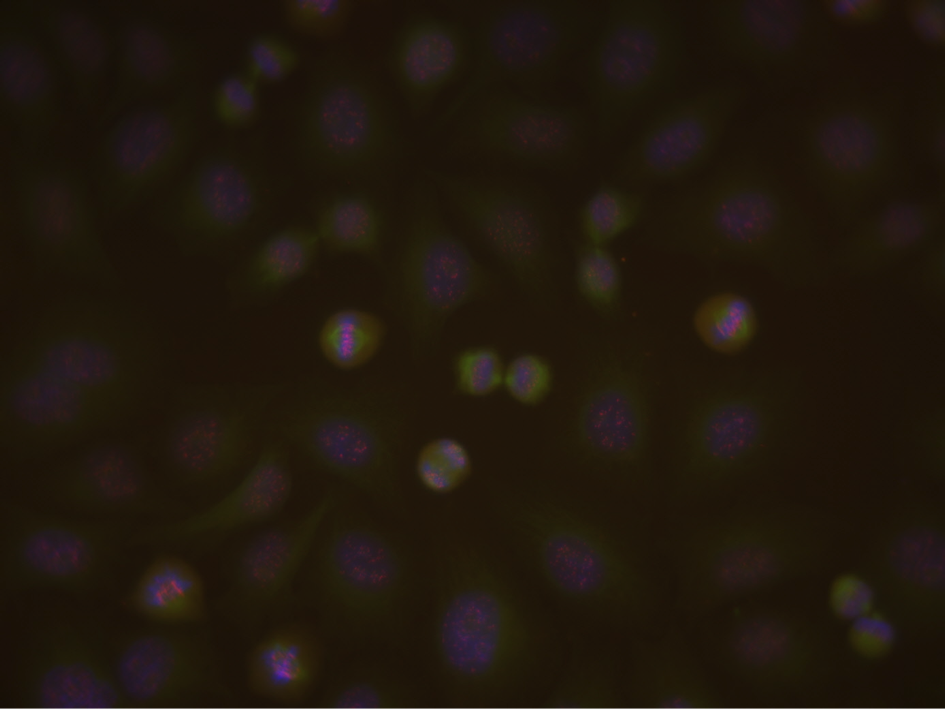 BIO2017_Bild_Beispiel1 (c) KFG