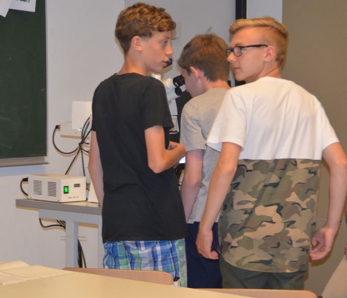 BIO_2017_BILD_PraktischesArbeiten1 (c) KFG