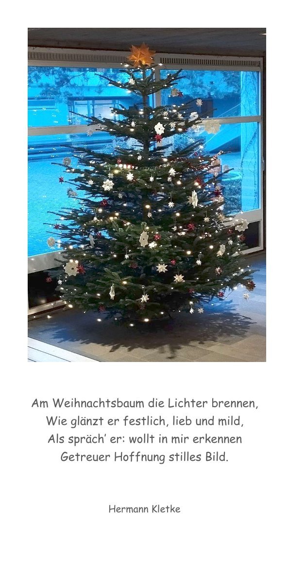 Weihnachtsbaum 2025